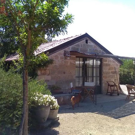 Casetta Vacanza In Campagna Aradeo Dış mekan fotoğraf