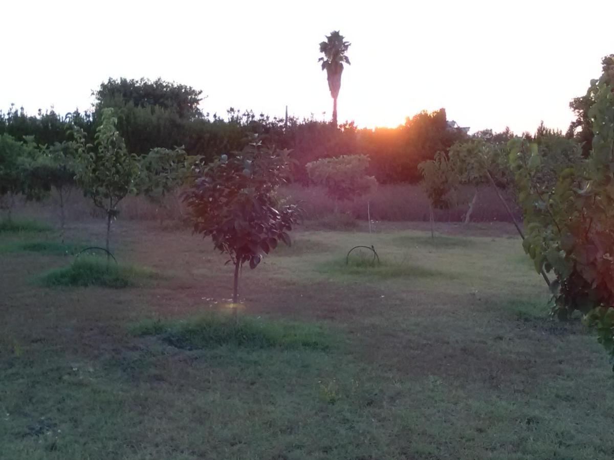 Casetta Vacanza In Campagna Aradeo Dış mekan fotoğraf