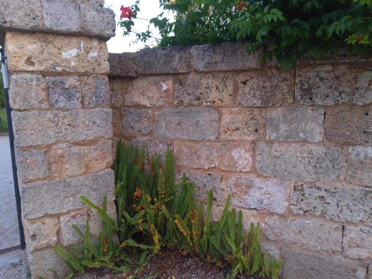 Casetta Vacanza In Campagna Aradeo Dış mekan fotoğraf