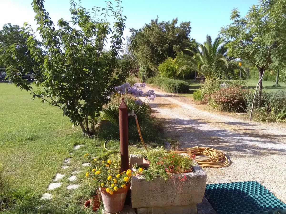 Casetta Vacanza In Campagna Aradeo Dış mekan fotoğraf